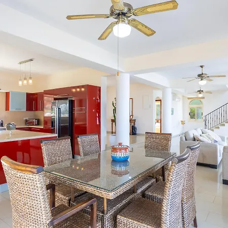 Aquavitus Pachyammos