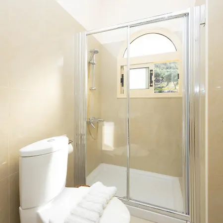 Aquavitus * Pachyammos