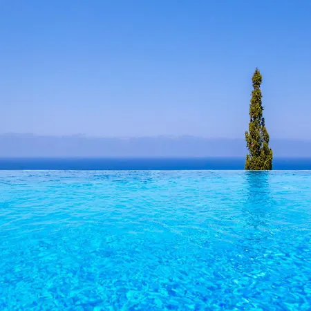 Aquavitus * Pachyammos