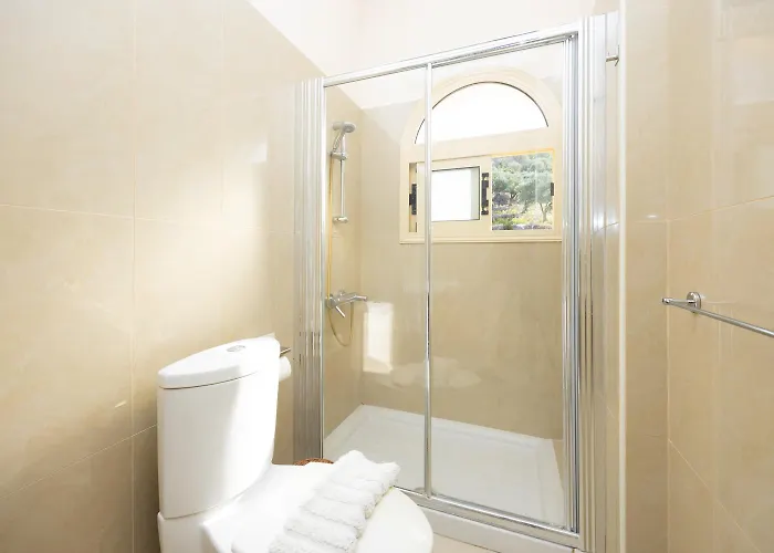 Aquavitus * Pachyammos