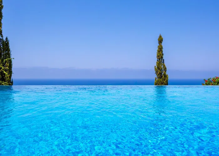 Aquavitus * Pachyammos